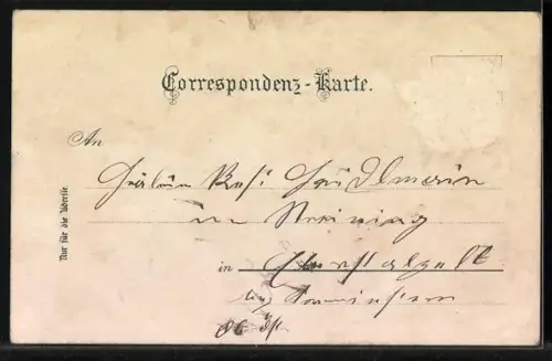 AK Wels, Totalansicht mit Brücke