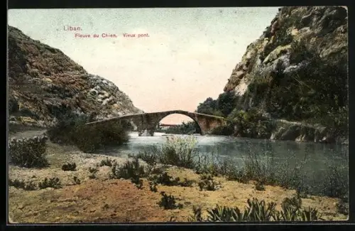 Künstler-AK Liban, Fleuve du Chien