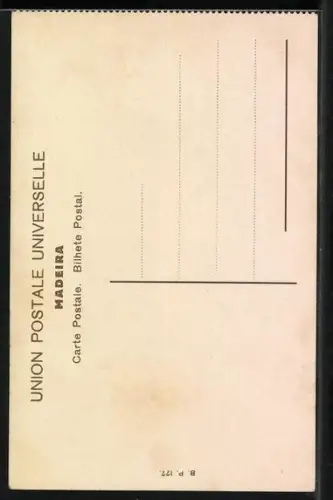 AK Madeira, Igreja do Monte