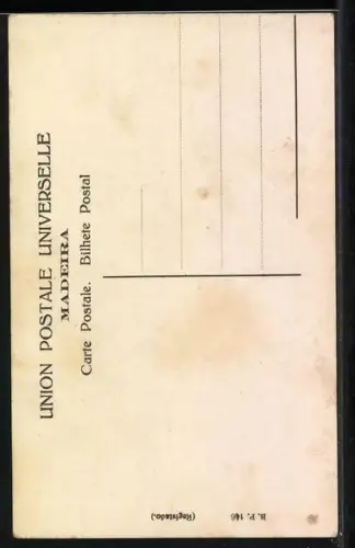 AK Madeira, Monte Siedge Cars, Strassenschlitten