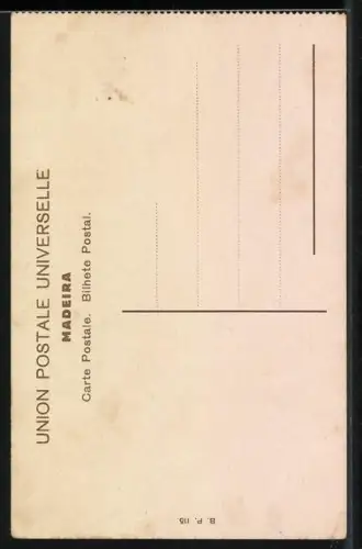 AK Madeira, Largo do Comercio, Strassenleben am Marktplatz