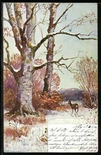 Künstler-AK August Splitgerber: Reh in einer Winterlandschaft