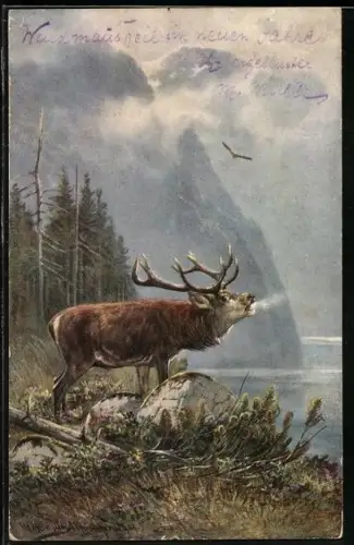 Künstler-AK M. Müller jun.: Röhrender Hirsch am See