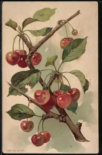 Künstler-AK Rote Kirschen hängen an einem Zweig