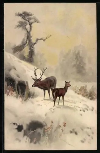 AK Hirsch mit Reh auf einer verschneiten Wiese