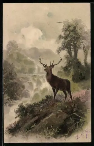 AK Hirsch an einem Abhang, Wasserfall