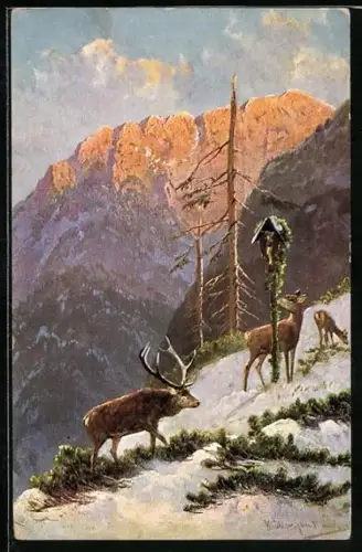 Künstler-AK M. Müller jun.: Hirsch mit Hirschkühen am winterlichen Berghang