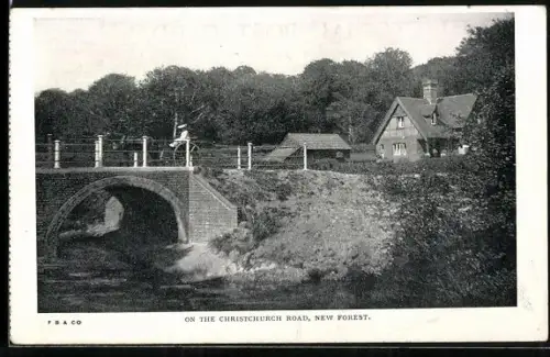AK New Forest, On the Christchurch Road