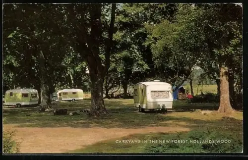 AK Holland`s Wood, Caravans in the New Forest