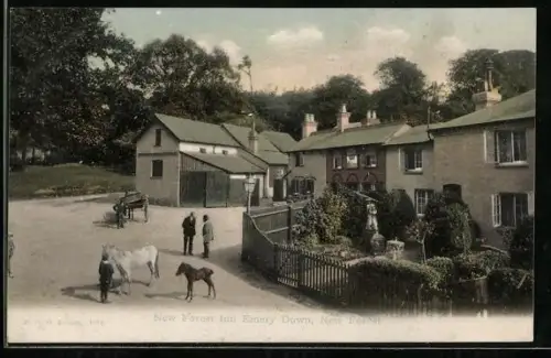 AK New Forest, New Forest Inn Emery Down