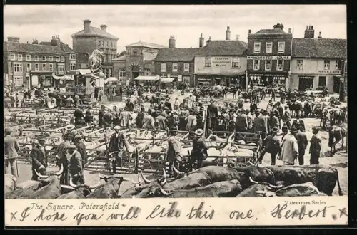 AK Petersfield, The Square