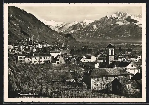 AK Tenero-Gordola, Gesamtansicht mit Weinberg