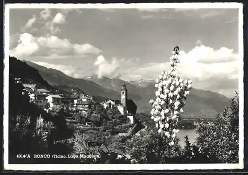 AK Ronco, Ortsansicht mit Blick auf Lago Maggiore