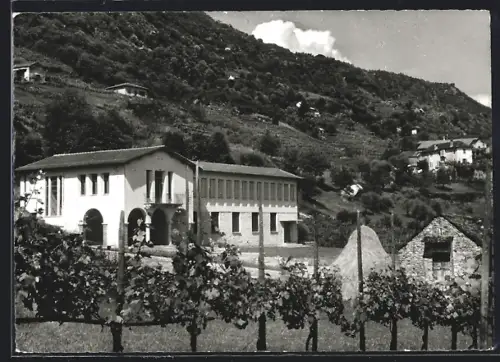 AK Gudo, Scuola Gudo