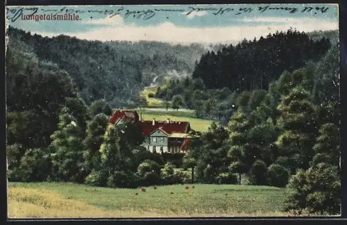 AK Bürgel / Thüringen, Langetalsmühle, Talansicht