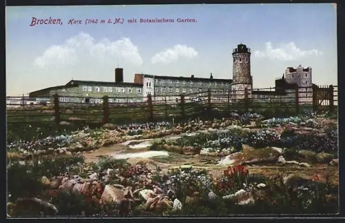 AK Brocken /Harz, Botanischer Garten und Aussichtsturm