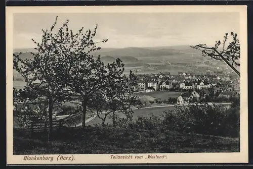 AK Blankenburg /Harz, Teilansicht vom Westend