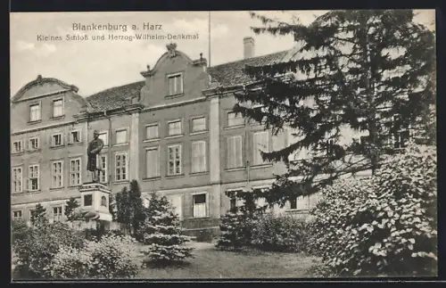AK Blankenburg a. Harz, Kleines Schloss und Herzog-Wilhelm-Denkmal