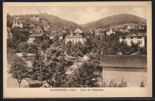 AK Blankenburg a. Harz, Villen mit Silberborn