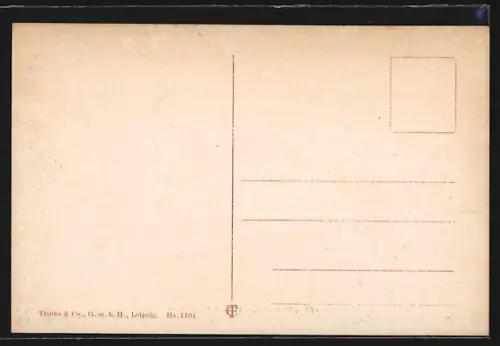 AK Blankenburg a. Harz, Villen mit Silberborn