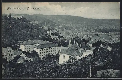 AK Blankenburg a. H., Totalansicht
