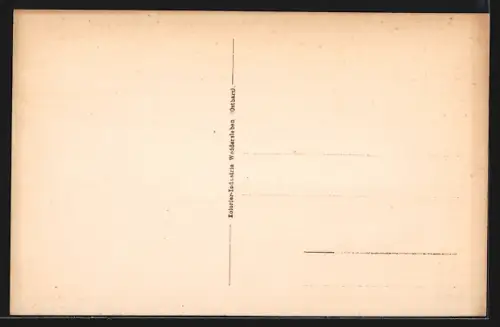 AK Blankenburg i. H., Rathaus