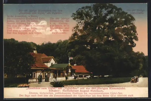 AK Ugleisee, Gasthaus zum Uglei, Rieseneiche, Inh. August Holzbach