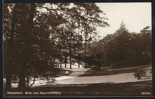 AK Düsseldorf, Blick vom Napoleonsberg