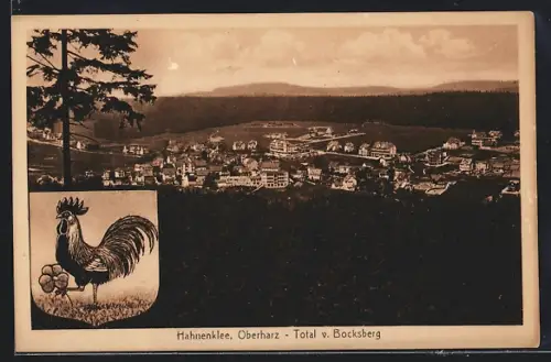 AK Hahnenklee /Oberharz, Gesamtansicht vom Bocksberg