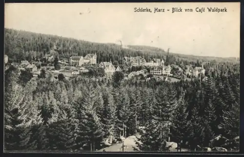AK Schierke /Harz, Blick vom Café Waldpark