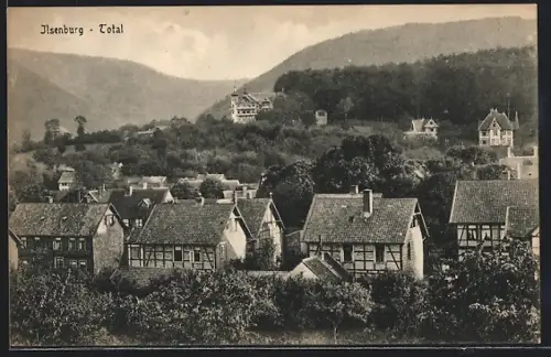 AK Ilsenburg, Gesamtansicht, Fachwerkhäuser, Hügel, Wald