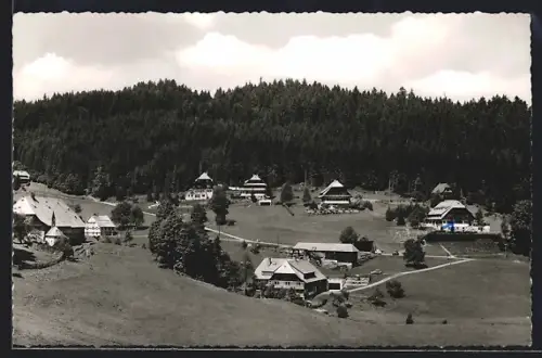 AK Hinterzarten im Schwarzwald, Kesslerhöhe