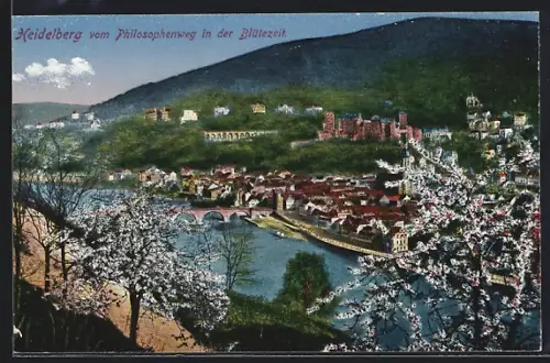 AK Heidelberg, Blick vom Philosophenweg