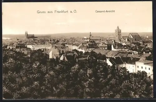 AK Frankfurt a. O., Ortspanorama