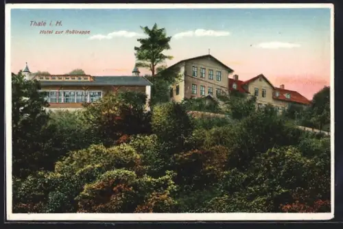 AK Thale i. H., Hotel zur Rosstrappe