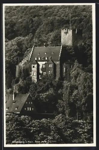 AK Miltenberg a. Main, Blick aufs Schloss
