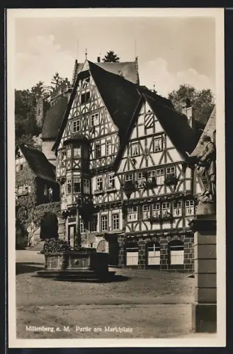 AK Miltenberg a. M., Partie am Marktplatz
