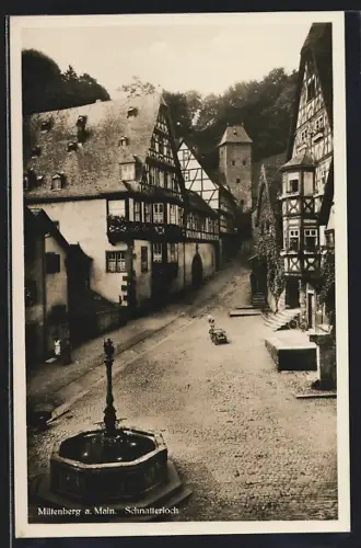 AK Miltenberg a. Main, Schnatterloch