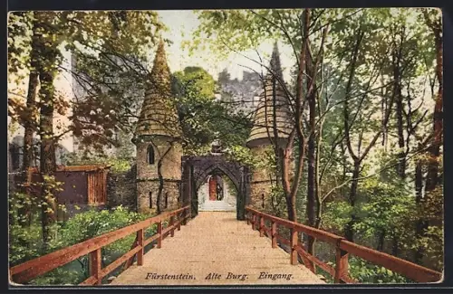 AK Fürstenstein, Alte Burg, Eingang