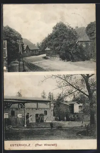AK Esterholz, Strassenpartie, Gehöft des Gutes
