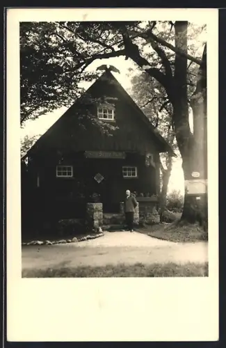 AK Bad Harzburg, Ansicht der Harz-Sagen-Halle auf dem Burgberg