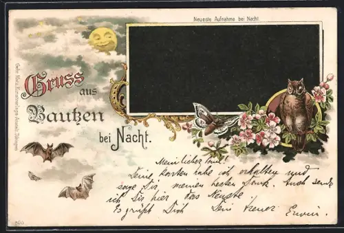 Lithographie Bautzen, Neueste Aufnahme der Stadt bei Nacht, Fledermäuse, Nachtfalter, Eule