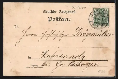 Lithographie Celle, Ratsmühle, Schloss, Rathaus, Post, Karolinen-Mathilden-Denkmal