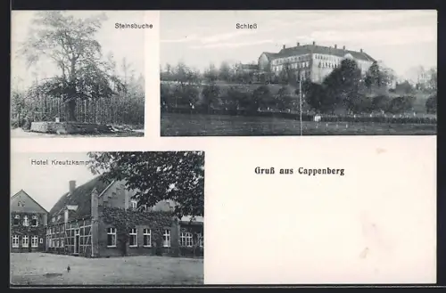 AK Cappenberg, Hotel Kreutzkamp, Steinsbuche und Schloss