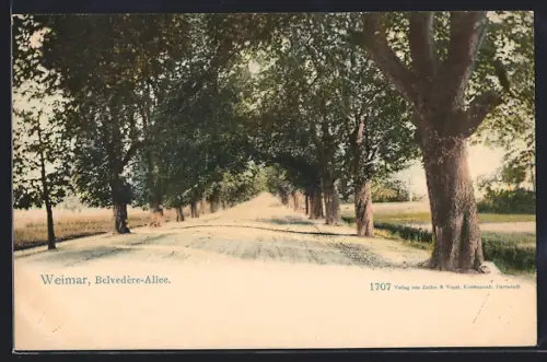 AK Weimar / Thür., Belvedère-Allee