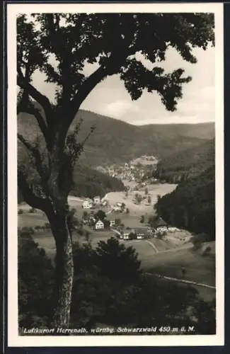 AK Bad Herrenalb /Schwarzwald, Talansicht