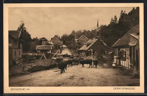 AK Schierke i. H., Dorfstrasse