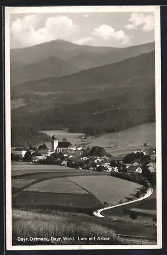 AK Lam /Bayr. Wald, Ortsansicht mit Kirche und Arber