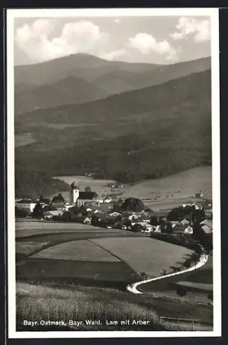 AK Lam /Bayr. Wald, Lam mit Arber