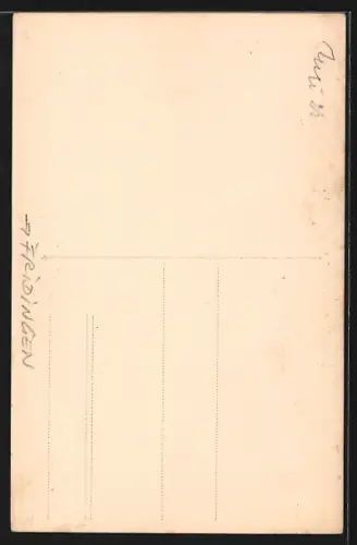 AK Fridingen, Schloss Bronnen